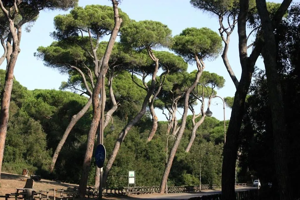 Appartamento Domus Gioconda Lido di Ostia Italia